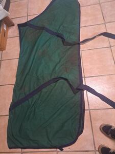 Chemise 145 cm