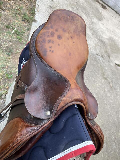 Selle forestier