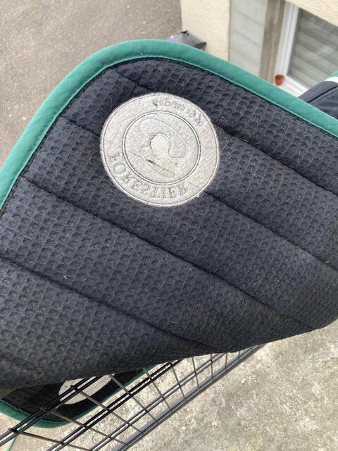 Tapis forestier