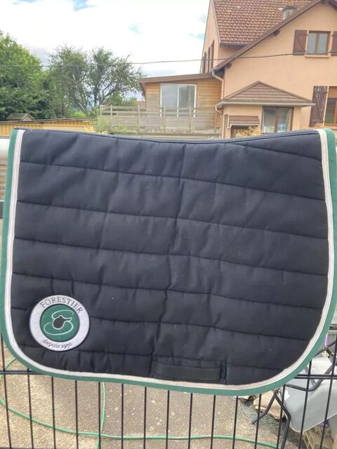 Tapis forestier