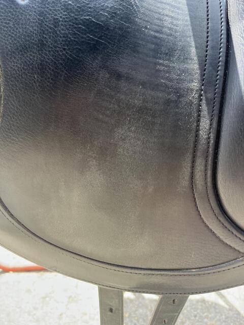 Selle dressage CWD