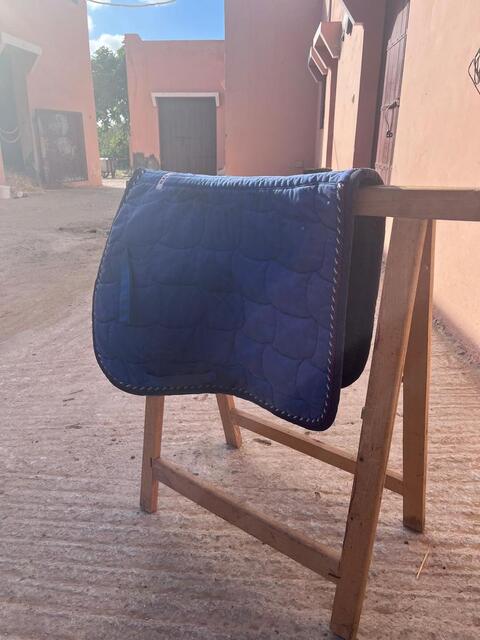 Tapis bleu
