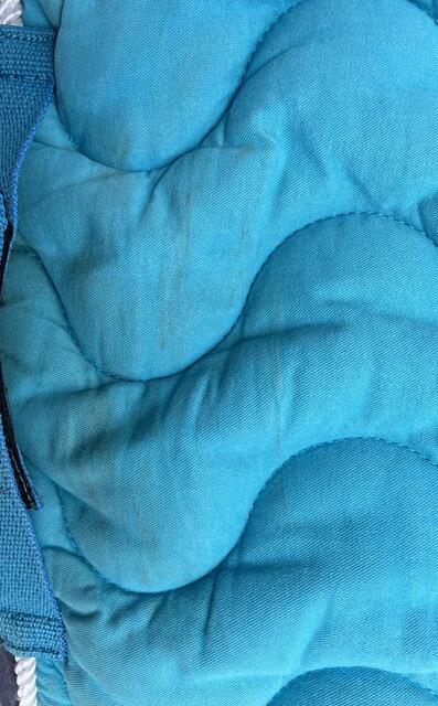 Tapis bleu équithème
