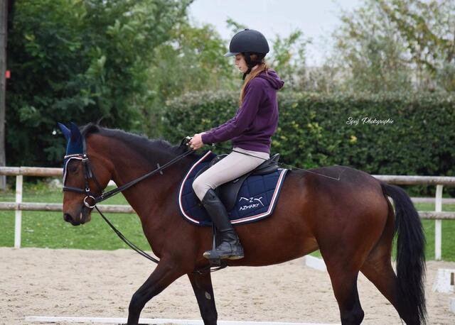 Ensemble tapis bonnet