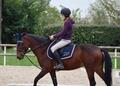 Ensemble tapis bonnet
