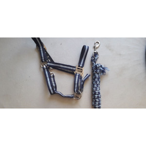 licol poney bleu marine / bleu ciel + longe bleu marine / bleu ciel