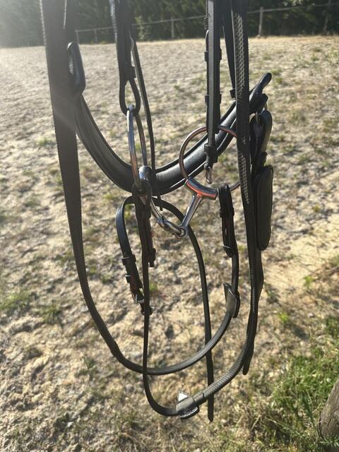 Filet Dyon + Rene + Mors 135