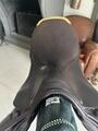Selle Junior Stubben