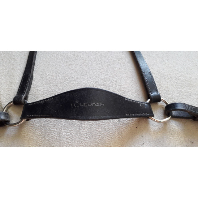 collier de chasse + martinguale