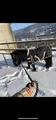 Couverte mini horse shop