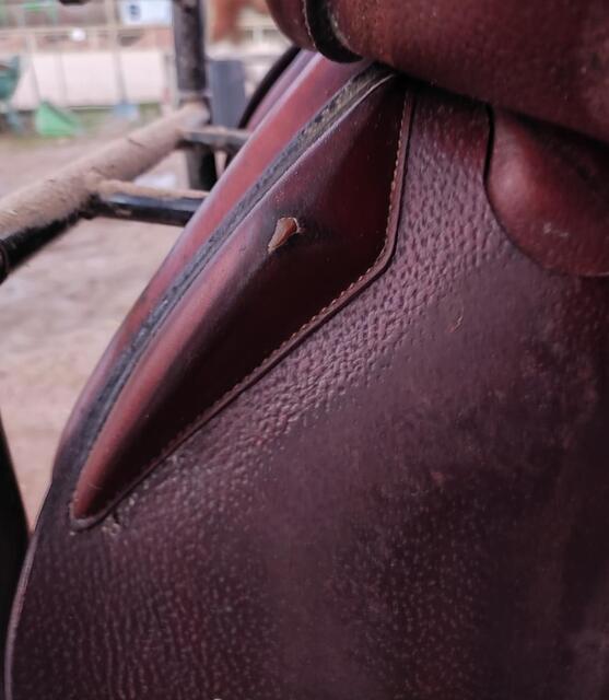 Selle Devoucoux Biarritz T18