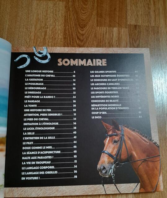 Larousse Chevaux