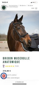 Bridon forestier muserolle anatomique