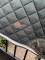 Tapis Lamicell Vert Sapin
