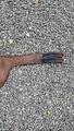 sangle bavette Bruno Delgrange cuir havane 120