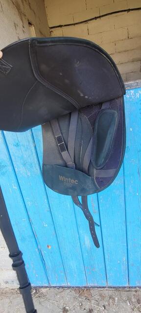 Selle dressage wintec pro