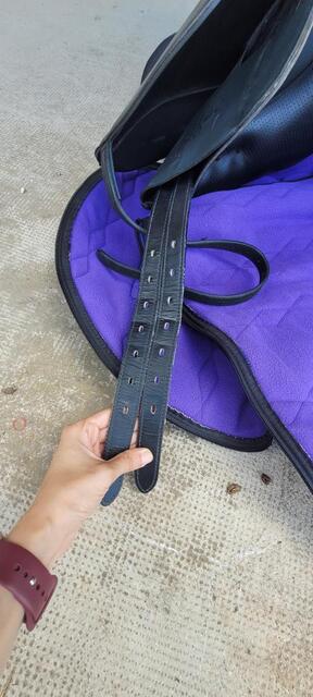 Selle dressage wintec pro