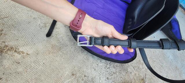 Selle dressage wintec pro