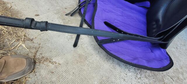Selle dressage wintec pro