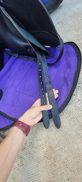 Selle dressage wintec pro