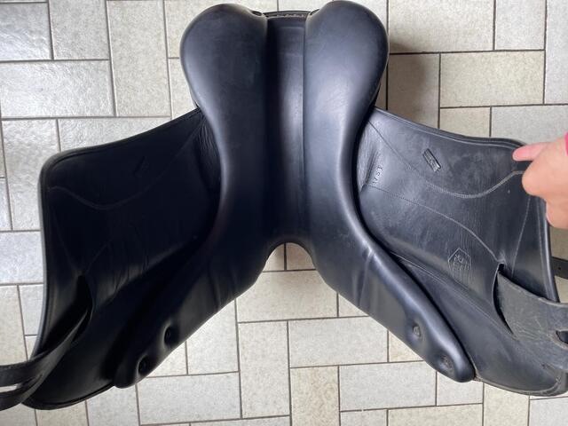 Selle dressage forestier