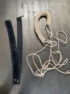 Ceinture de longe élastique cheval