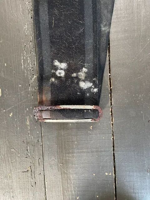 Ceinture de longe élastique cheval