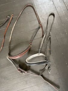 Muserolle noire et blanche cheval
