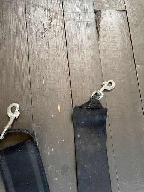 Ceinture de longe élastique cheval