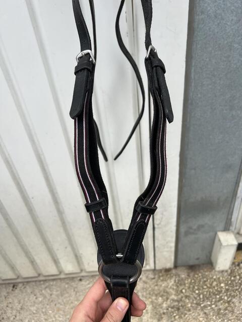 Collier de chasse + martingale