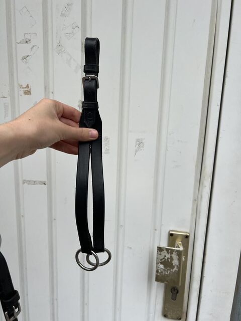 Collier de chasse + martingale