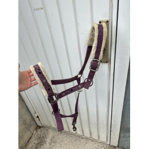 Licol violet
