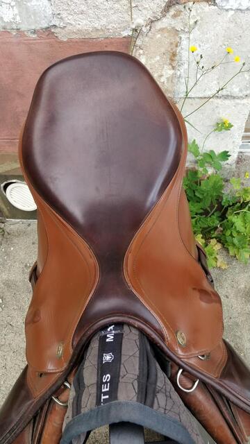 Selle Prestige Eventing