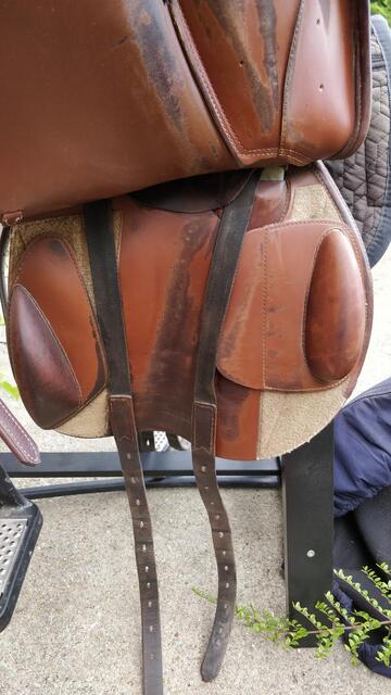 Selle Prestige Eventing
