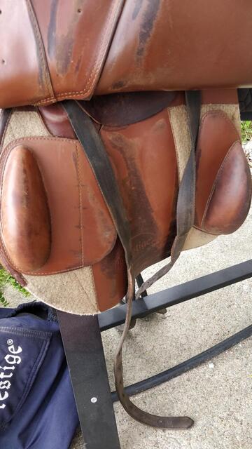 Selle Prestige Eventing