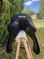 Selle Antares signature