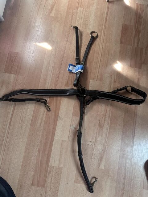 Collier de chasse protanner