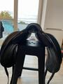 Selle Antares Cadence