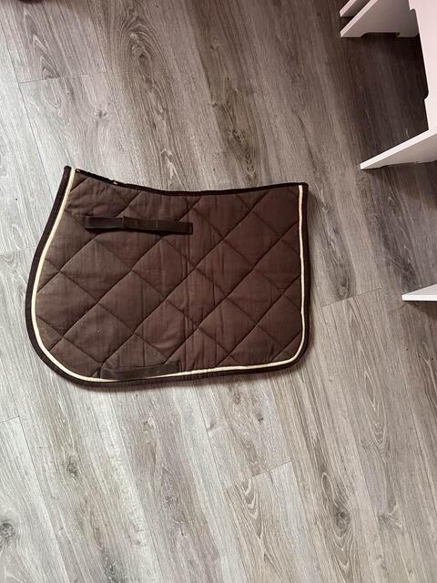 tapis