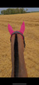 Bonnet framboise taille cheval