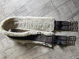 Sangle Kentucky mouton