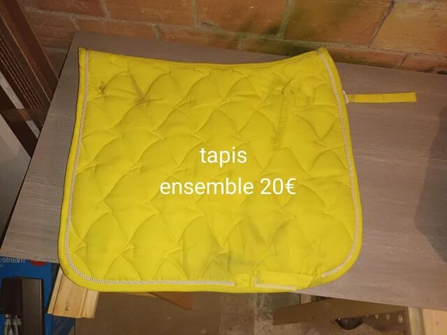 Tapis + bandes