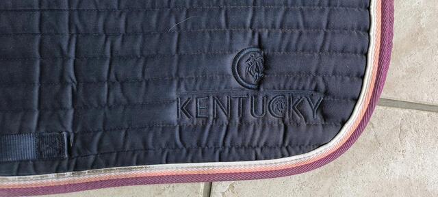 Tapis Kentucky color édition