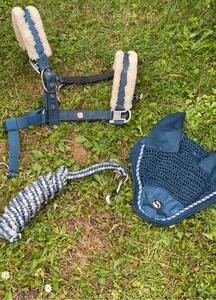ensemble equitation