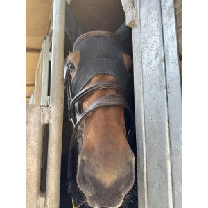 Masque Fenwick