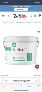 Gatillier