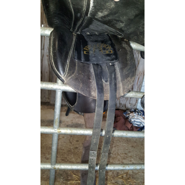 Selle de dressage
