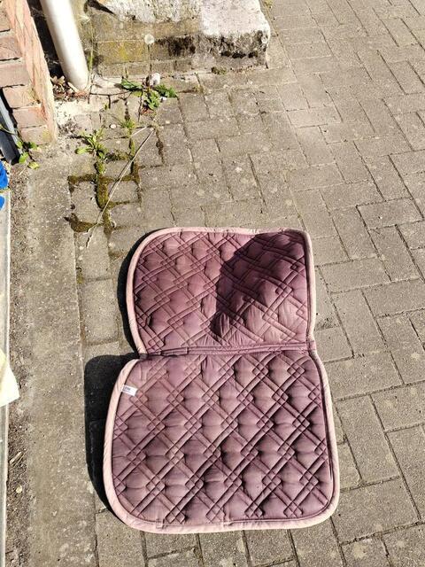 Tapis