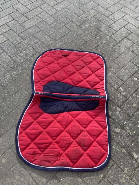Tapis