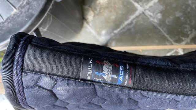 tapis bleu equiline